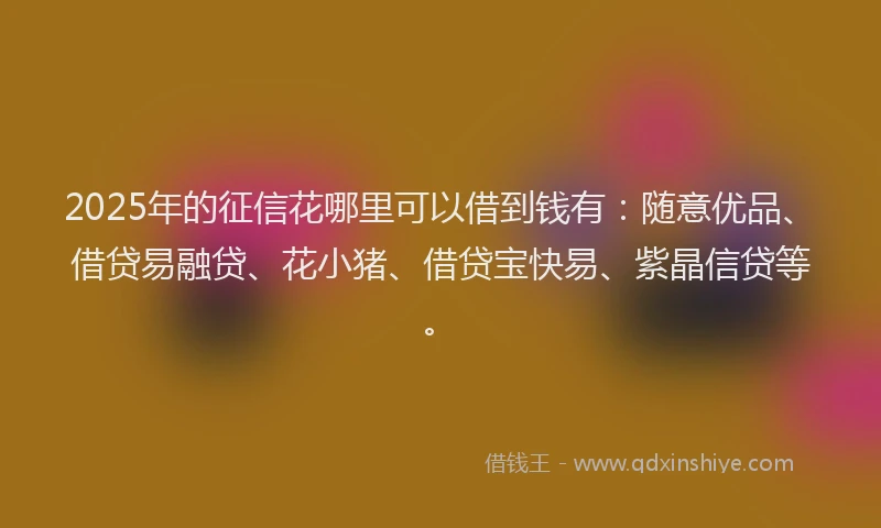 2025年的征信花哪里可以借到钱有：随意优品、借贷易融贷、花小猪、借贷宝快易、紫晶信贷等。