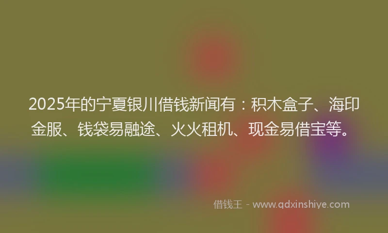 2025年的宁夏银川借钱新闻有：积木盒子、海印金服、钱袋易融途、火火租机、现金易借宝等。