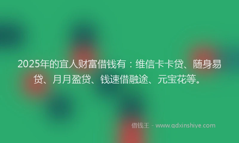 2025年的宜人财富借钱有：维信卡卡贷、随身易贷、月月盈贷、钱速借融途、元宝花等。