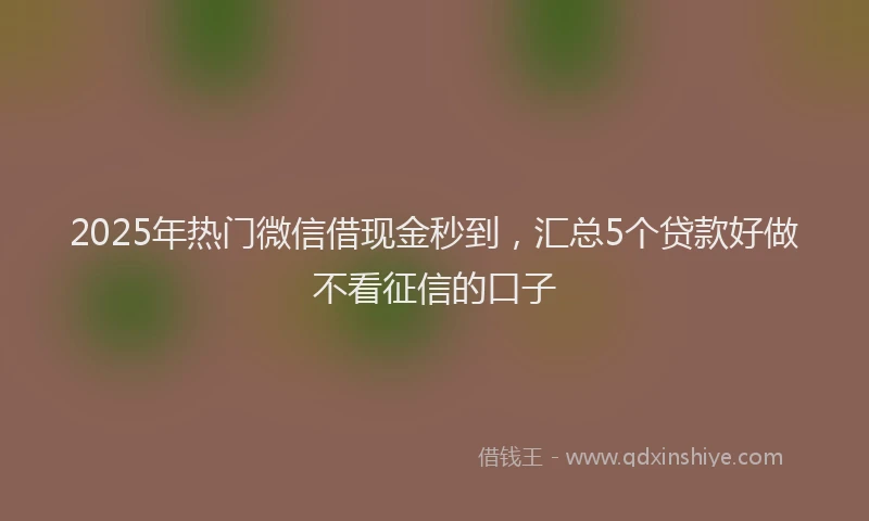 2025年热门微信借现金秒到，汇总5个贷款好做不看征信的口子