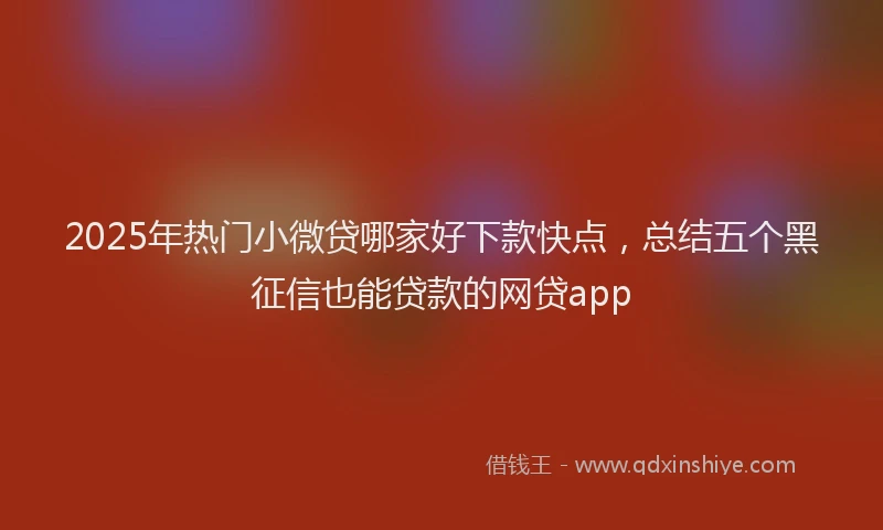 2025年热门小微贷哪家好下款快点，总结五个黑征信也能贷款的网贷app