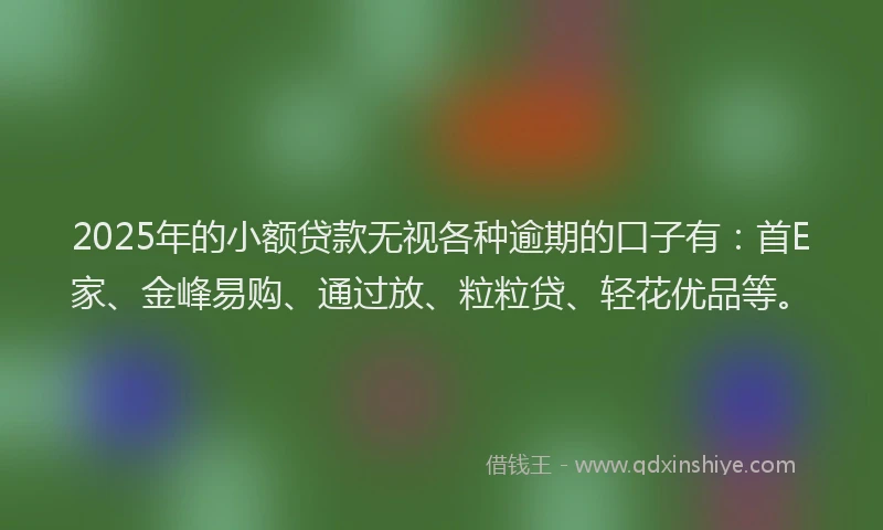 2025年的小额贷款无视各种逾期的口子有：首E家、金峰易购、通过放、粒粒贷、轻花优品等。