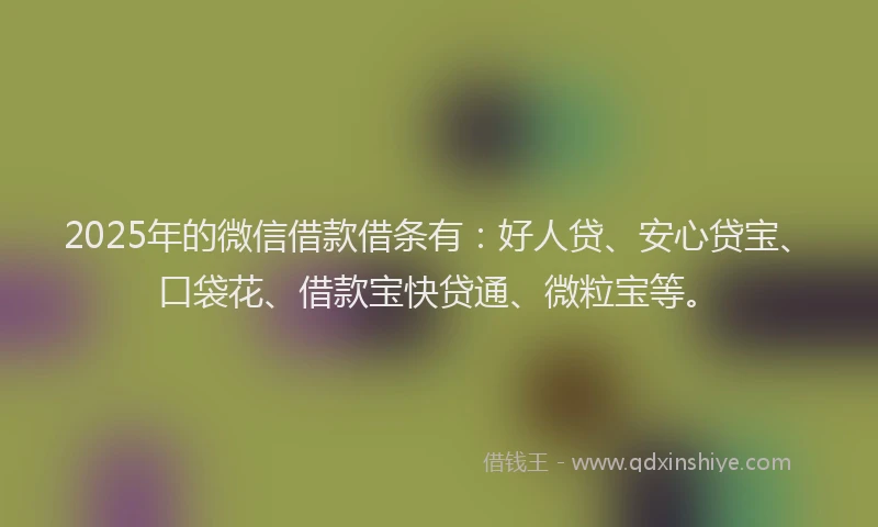 2025年的微信借款借条有：好人贷、安心贷宝、口袋花、借款宝快贷通、微粒宝等。