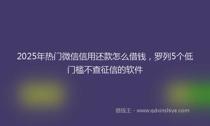 2025年热门微信信用还款怎么借钱，罗列5个低门槛不查征信的软件