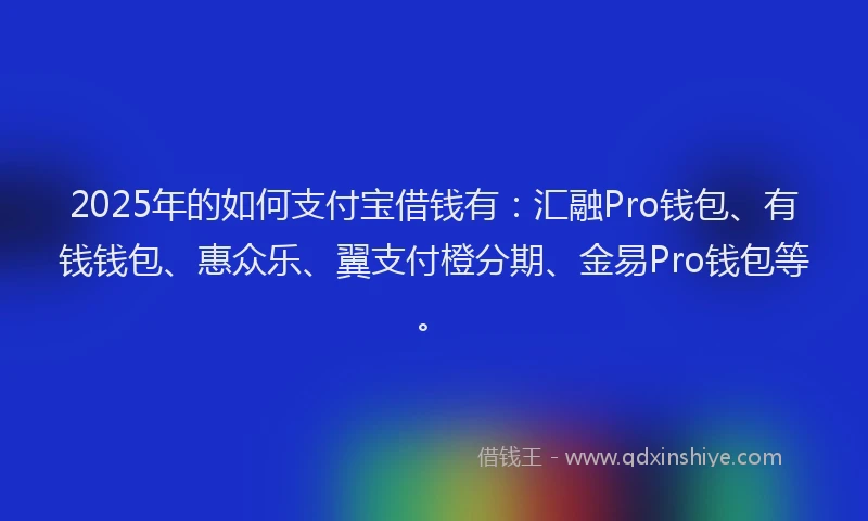 2025年的如何支付宝借钱有：汇融Pro钱包、有钱钱包、惠众乐、翼支付橙分期、金易Pro钱包等。