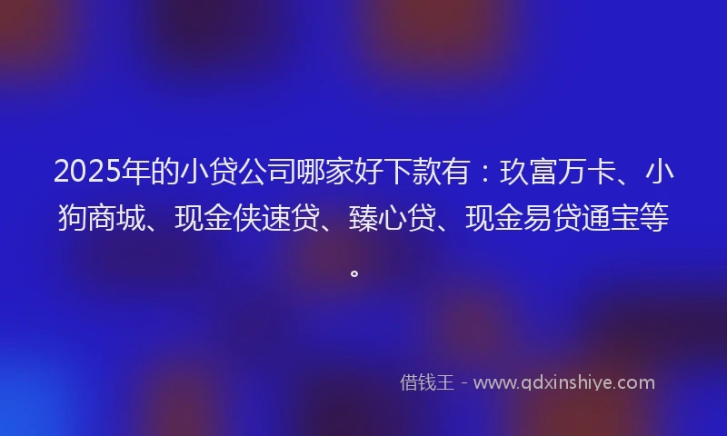 2025年的小贷公司哪家好下款有：玖富万卡、小狗商城、现金侠速贷、臻心贷、现金易贷通宝等。