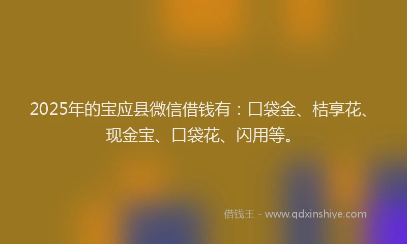 2025年的宝应县微信借钱有：口袋金、桔享花、现金宝、口袋花、闪用等。