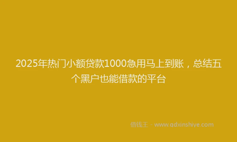 2025年热门小额贷款1000急用马上到账，总结五个黑户也能借款的平台