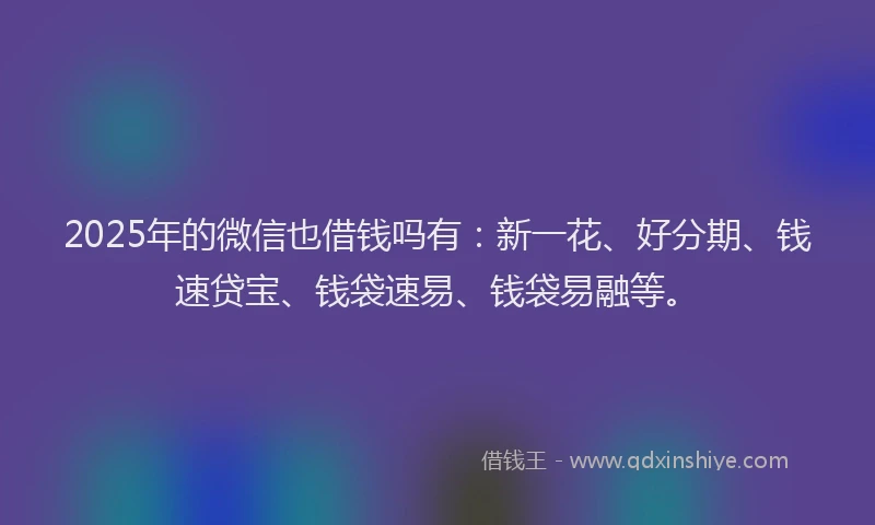 2025年的微信也借钱吗有：新一花、好分期、钱速贷宝、钱袋速易、钱袋易融等。