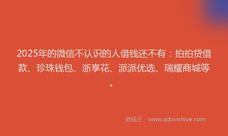 2025年的微信不认识的人借钱还不有：拍拍贷借款、珍珠钱包、浙享花、派派优选、瑞耀商城等。