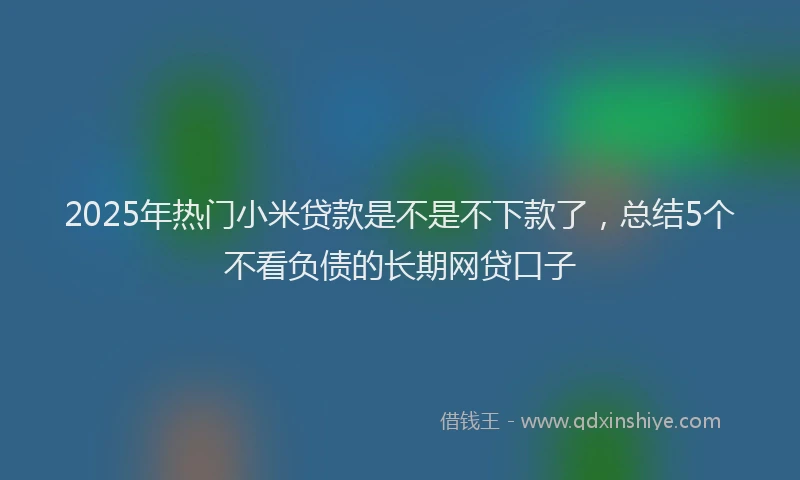 2025年热门小米贷款是不是不下款了，总结5个不看负债的长期网贷口子