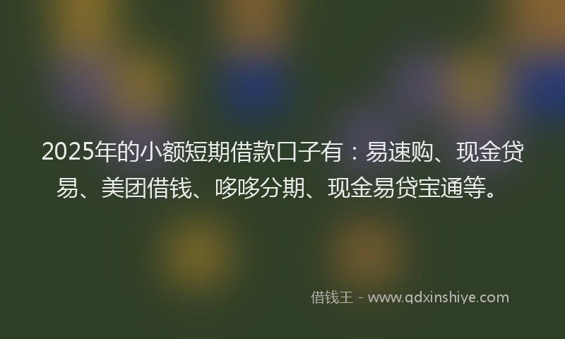2025年的小额短期借款口子有：易速购、现金贷易、美团借钱、哆哆分期、现金易贷宝通等。
