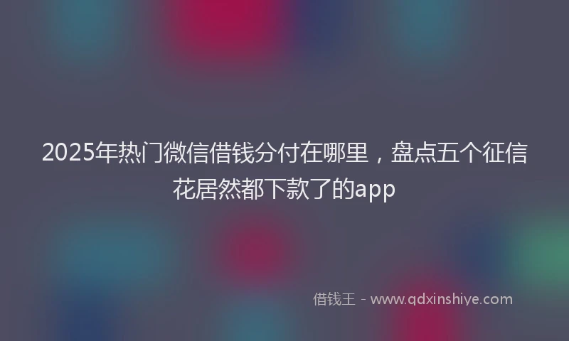 2025年热门微信借钱分付在哪里，盘点五个征信花居然都下款了的app