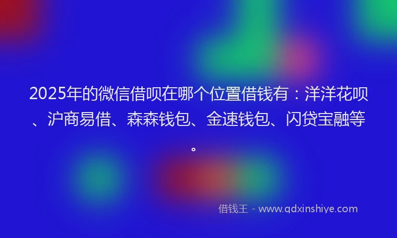 2025年的微信借呗在哪个位置借钱有：洋洋花呗、沪商易借、森森钱包、金速钱包、闪贷宝融等。