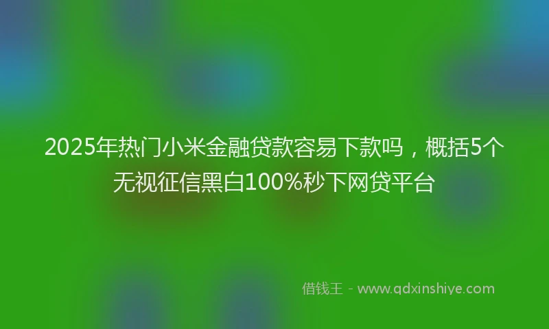 2025年热门小米金融贷款容易下款吗，概括5个无视征信黑白100%秒下网贷平台