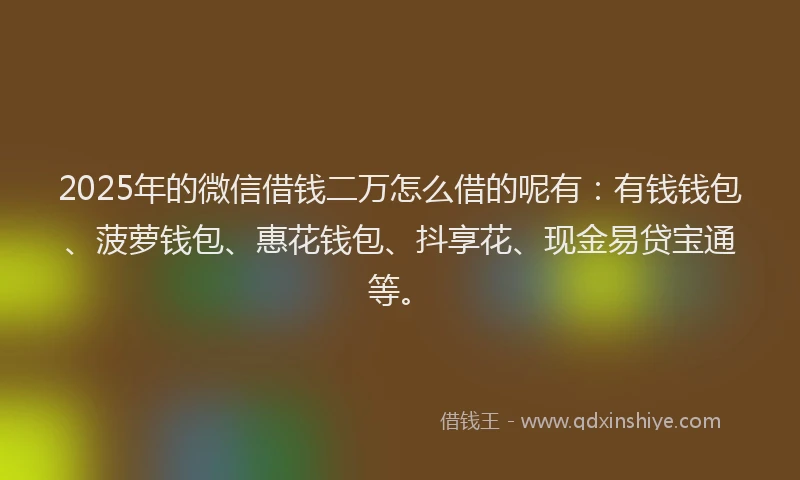 2025年的微信借钱二万怎么借的呢有：有钱钱包、菠萝钱包、惠花钱包、抖享花、现金易贷宝通等。