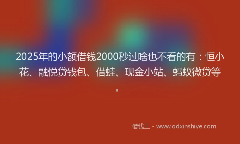 2025年的小额借钱2000秒过啥也不看的有：恒小花、融悦贷钱包、借蛙、现金小站、蚂蚁微贷等。