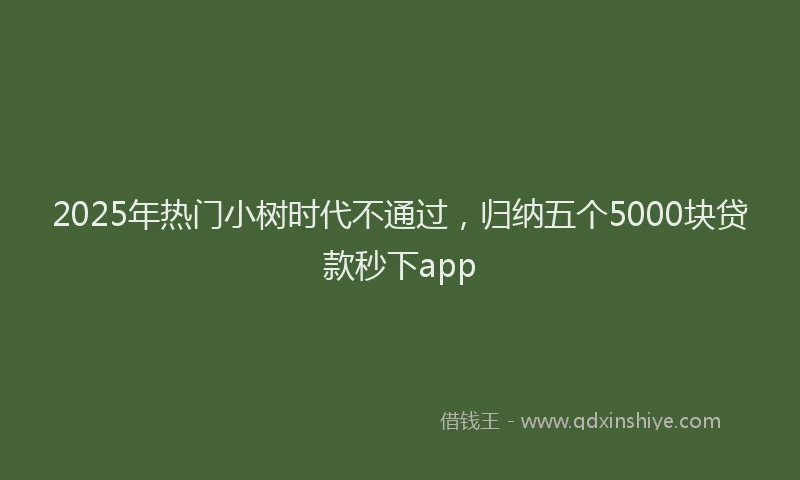 2025年热门小树时代不通过，归纳五个5000块贷款秒下app