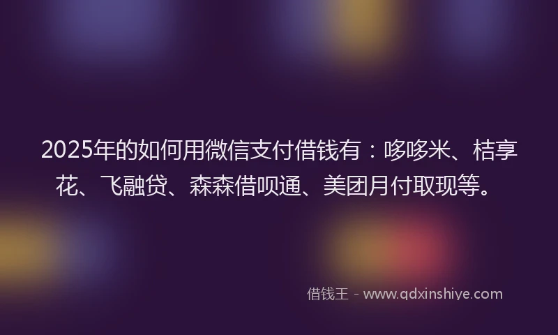 2025年的如何用微信支付借钱有：哆哆米、桔享花、飞融贷、森森借呗通、美团月付取现等。