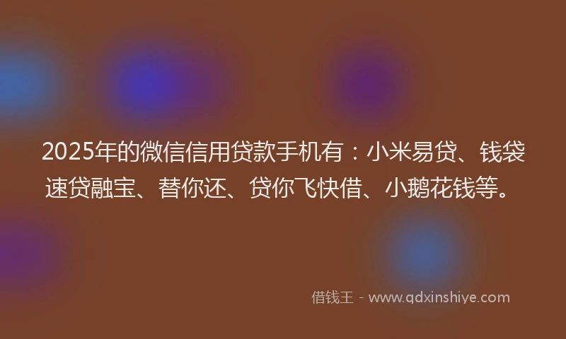 2025年的微信信用贷款手机有：小米易贷、钱袋速贷融宝、替你还、贷你飞快借、小鹅花钱等。
