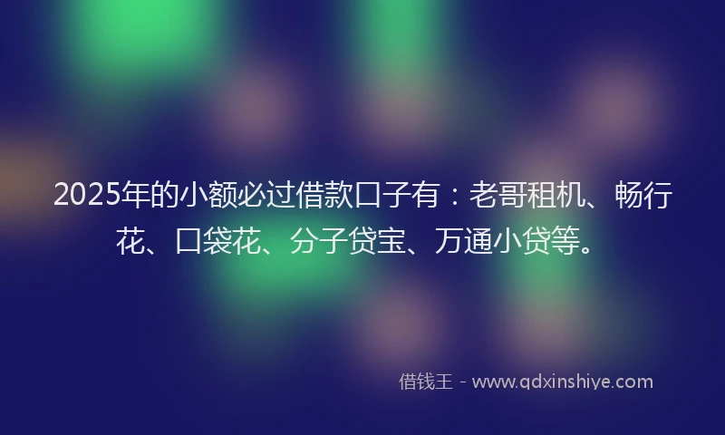 2025年的小额必过借款口子有：老哥租机、畅行花、口袋花、分子贷宝、万通小贷等。
