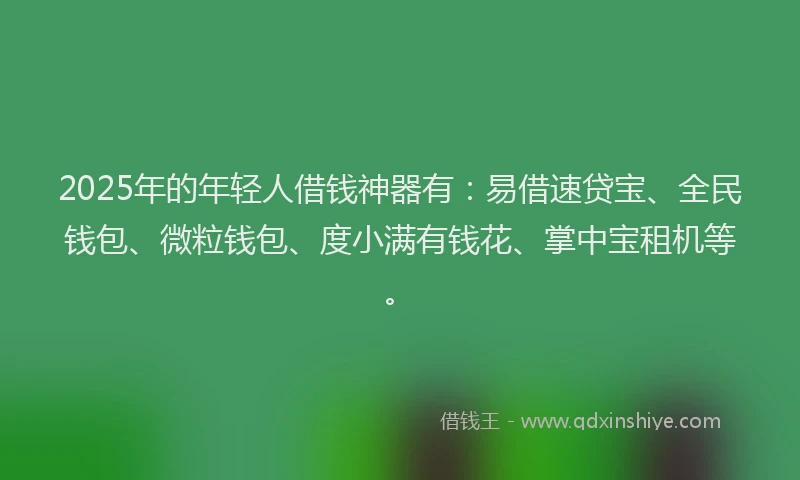 2025年的年轻人借钱神器有：易借速贷宝、全民钱包、微粒钱包、度小满有钱花、掌中宝租机等。
