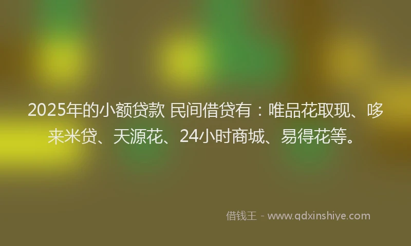 2025年的小额贷款 民间借贷有：唯品花取现、哆来米贷、天源花、24小时商城、易得花等。