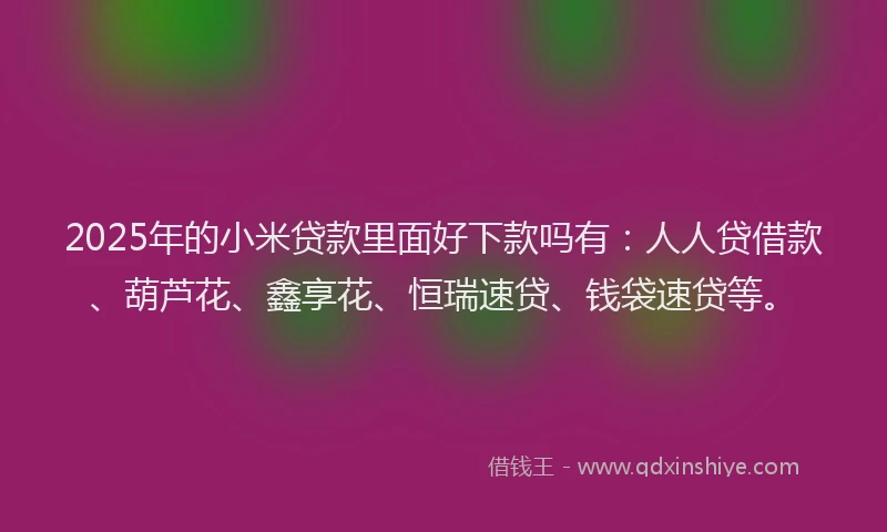 2025年的小米贷款里面好下款吗有：人人贷借款、葫芦花、鑫享花、恒瑞速贷、钱袋速贷等。