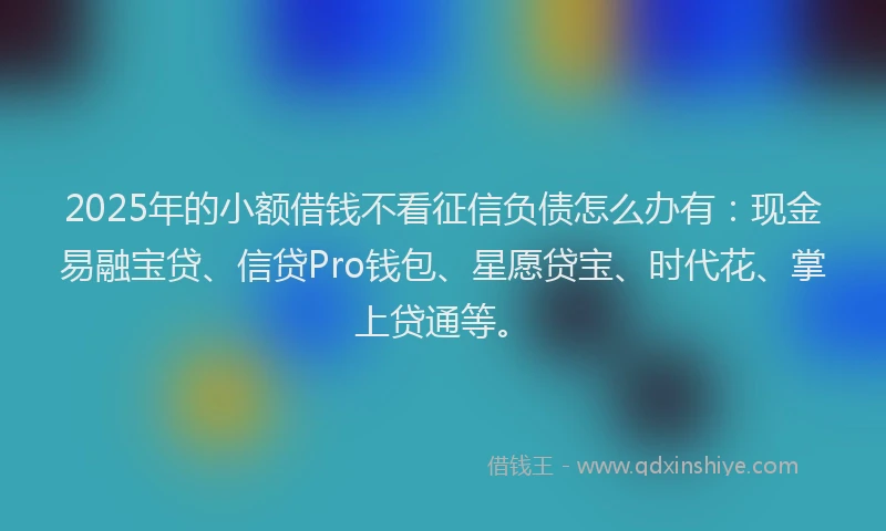 2025年的小额借钱不看征信负债怎么办有：现金易融宝贷、信贷Pro钱包、星愿贷宝、时代花、掌上贷通等。