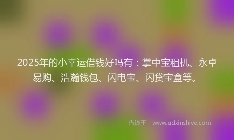 2025年的小幸运借钱好吗有:掌中宝租机、永卓易购、浩瀚钱包、闪电宝、闪贷宝盒等。