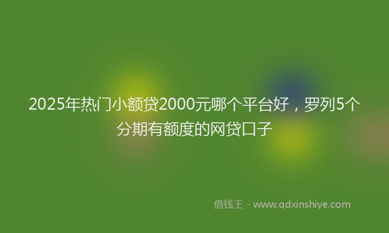 2025年热门小额贷2000元哪个平台好，罗列5个分期有额度的网贷口子