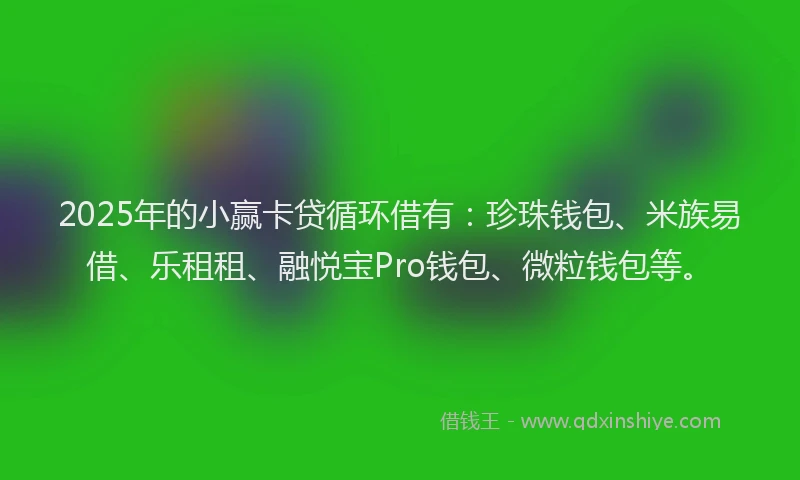2025年的小赢卡贷循环借有：珍珠钱包、米族易借、乐租租、融悦宝Pro钱包、微粒钱包等。