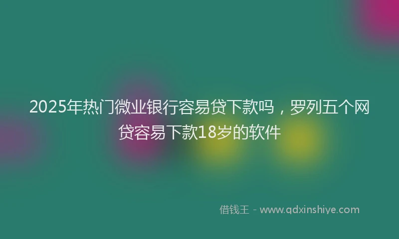 2025年热门微业银行容易贷下款吗，罗列五个网贷容易下款18岁的软件