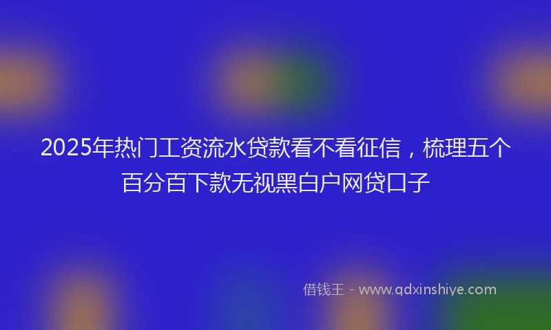 2025年热门工资流水贷款看不看征信，梳理五个百分百下款无视黑白户网贷口子
