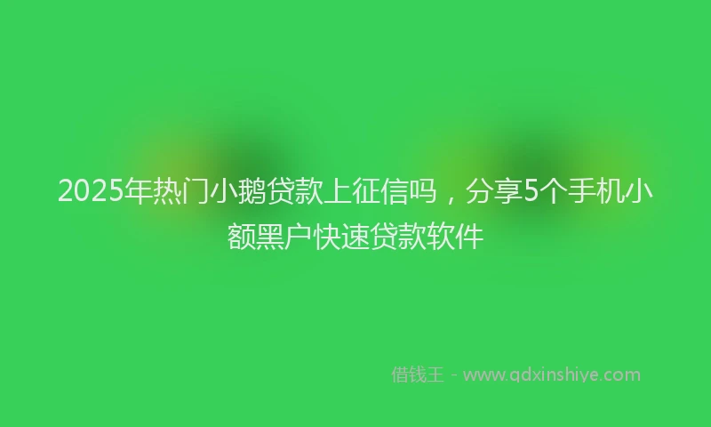 2025年热门小鹅贷款上征信吗，分享5个手机小额黑户快速贷款软件