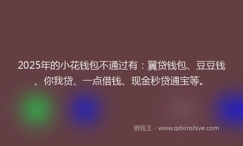 2025年的小花钱包不通过有：翼贷钱包、豆豆钱、你我贷、一点借钱、现金秒贷通宝等。