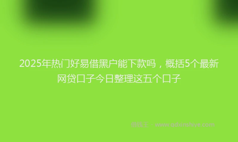 2025年热门好易借黑户能下款吗，概括5个最新网贷口子今日整理这五个口子
