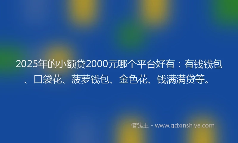 2025年的小额贷2000元哪个平台好有：有钱钱包、口袋花、菠萝钱包、金色花、钱满满贷等。