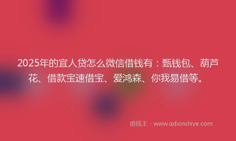 2025年的宜人贷怎么微信借钱有：甄钱包、葫芦花、借款宝速借宝、爱鸿森、你我易借等。