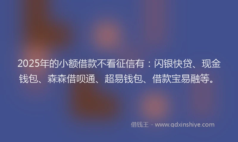 2025年的小额借款不看征信有：闪银快贷、现金钱包、森森借呗通、超易钱包、借款宝易融等。