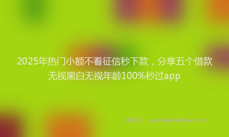2025年热门小额不看征信秒下款，分享五个借款无视黑白无视年龄100%秒过app