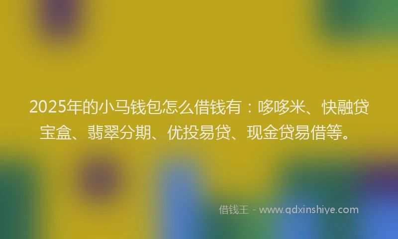 2025年的小马钱包怎么借钱有：哆哆米、快融贷宝盒、翡翠分期、优投易贷、现金贷易借等。
