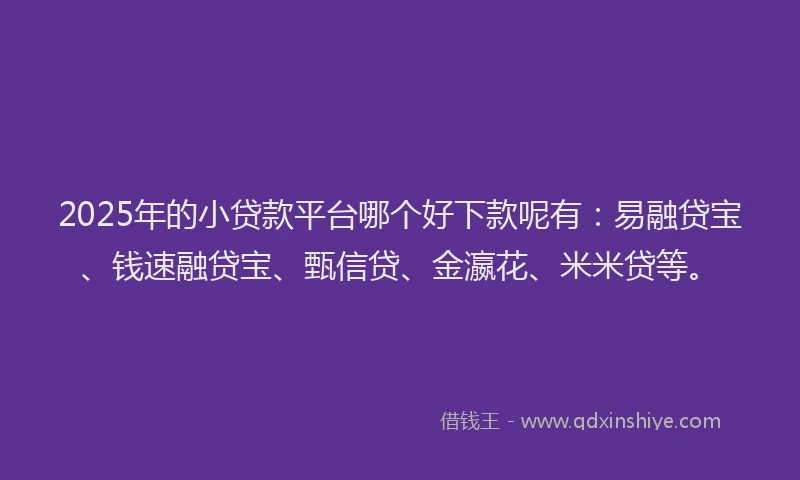 2025年的小贷款平台哪个好下款呢有：易融贷宝、钱速融贷宝、甄信贷、金瀛花、米米贷等。