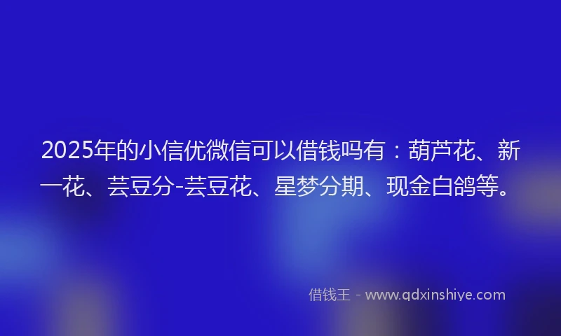2025年的小信优微信可以借钱吗有：葫芦花、新一花、芸豆分-芸豆花、星梦分期、现金白鸽等。