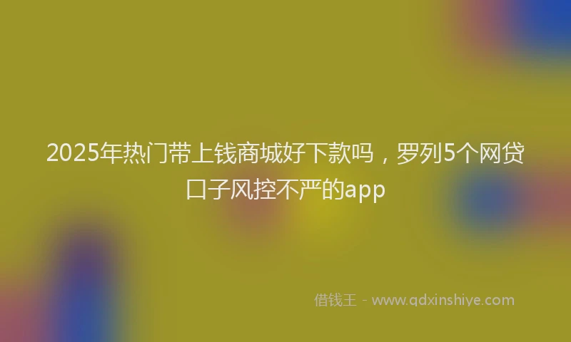 2025年热门带上钱商城好下款吗，罗列5个网贷口子风控不严的app