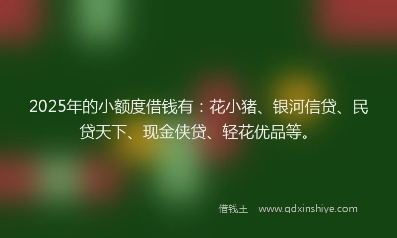 2025年的小额度借钱有：花小猪、银河信贷、民贷天下、现金侠贷、轻花优品等。