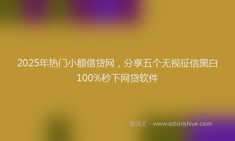 2025年热门小额借贷网，分享五个无视征信黑白100%秒下网贷软件