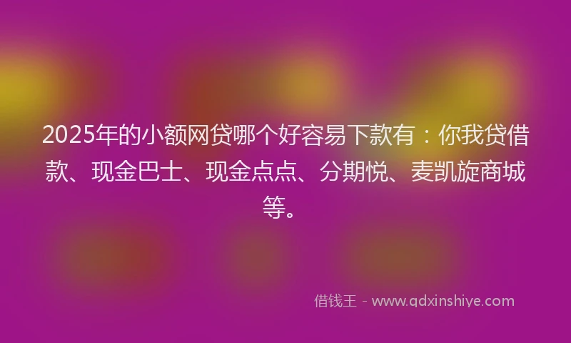 2025年的小额网贷哪个好容易下款有：你我贷借款、现金巴士、现金点点、分期悦、麦凯旋商城等。