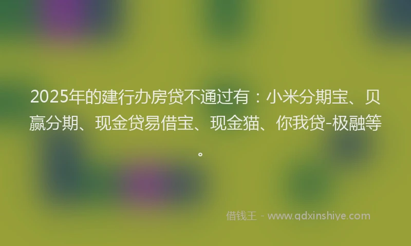 2025年的建行办房贷不通过有：小米分期宝、贝赢分期、现金贷易借宝、现金猫、你我贷-极融等。