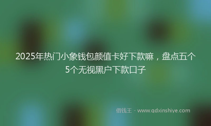 2025年热门小象钱包颜值卡好下款嘛，盘点五个5个无视黑户下款口子
